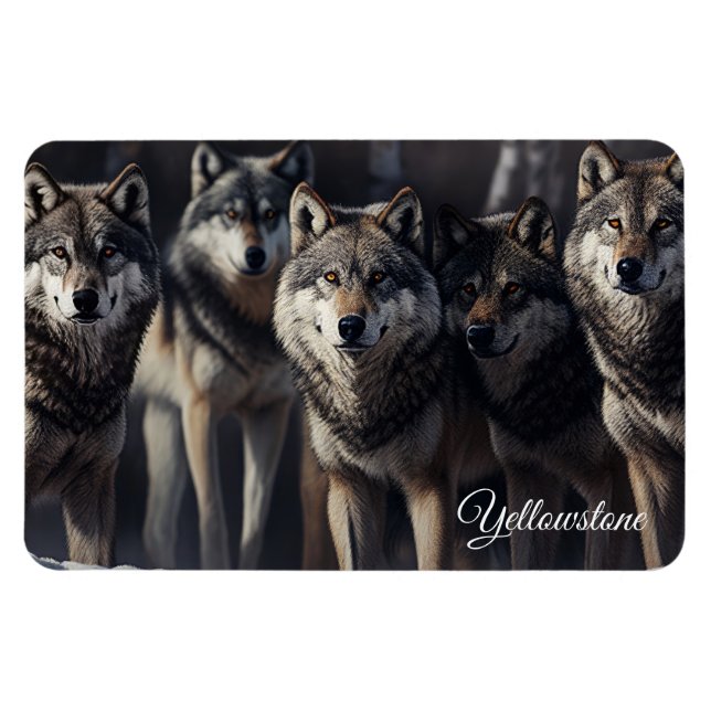 Lobos de imanes de piedra amarilla (Horizontal)