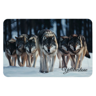 Lobos de imanes de piedra amarilla