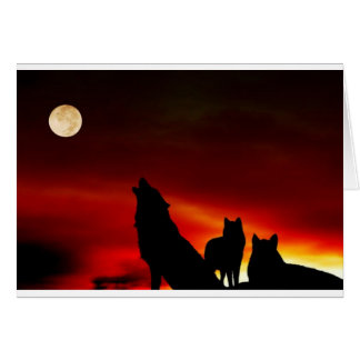 Lobos del atardecer