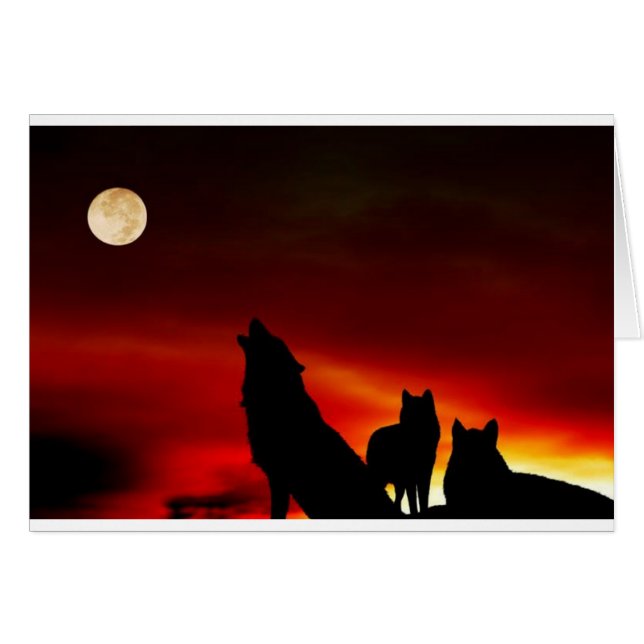 Lobos del atardecer (Anverso (Horizontal))