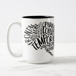 Lobos EEG de la jarra cerebral