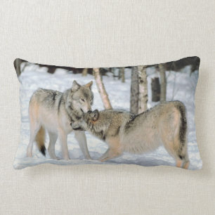 Lobos en almohada del Lumbar   de la nieve