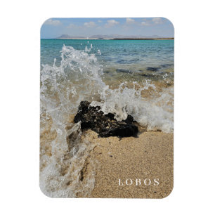 Lobos Island Beach view nevera imán