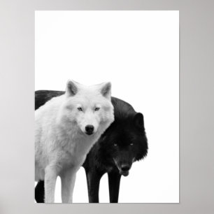 Lobos Negro Blanco Cabina Rústica Foto Póster
