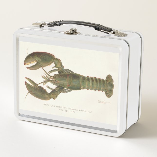 Lobster americano - Sherman Denton Fish Lithograph (Anverso)