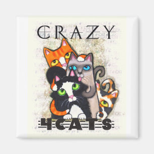Loco para el imán de los gatos