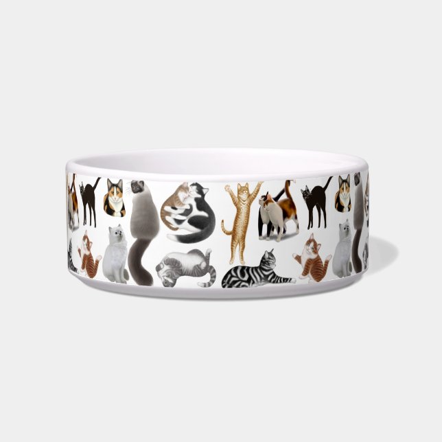 Loco por el cuenco del mascota de los gatos (Frente)