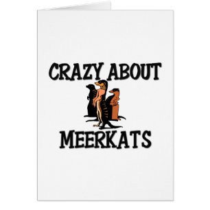 Loco por Meerkats