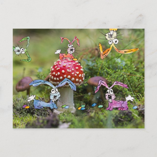 "¡LOCOS BUNNIES!" Postal (Anverso)