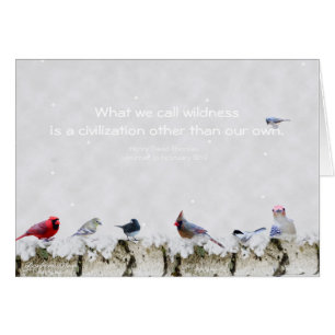 Locura: una civilización con excepción de nuestro