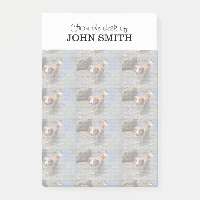 Logo de la familia fotográfica Notas Post-it® (Anverso)