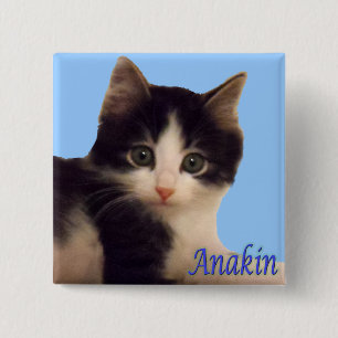 Logotipo de dos piernas del gato de Anakin, botón