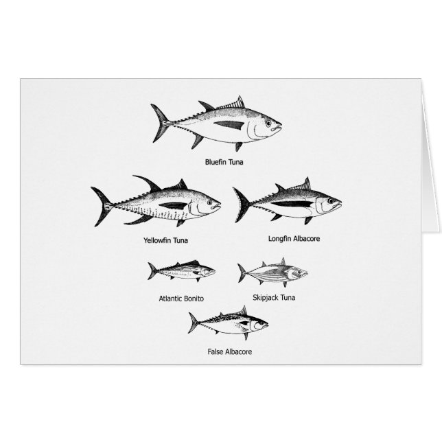 Logotipo de la especie del atún (Anverso (Horizontal))