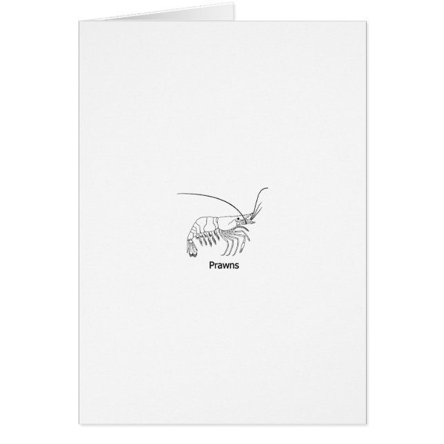 Logotipo de la gamba (Frente)