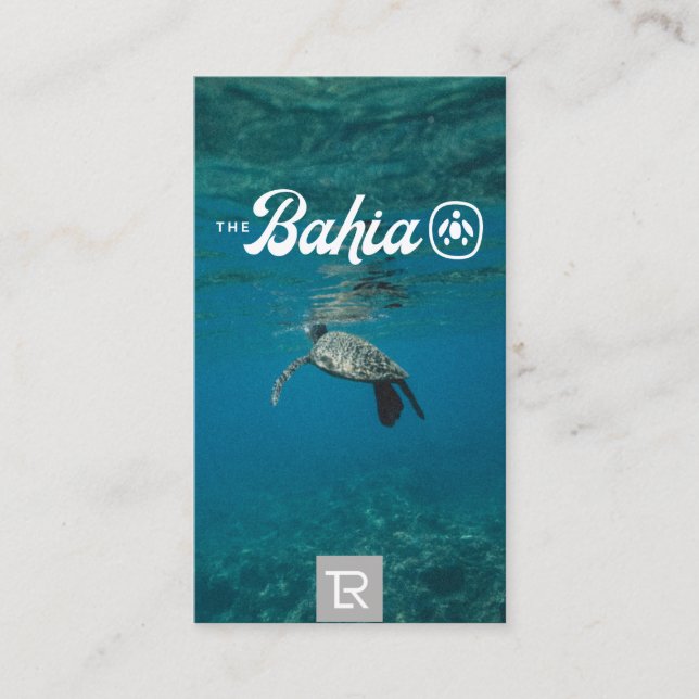 Logotipo de la tortuga marina Splash y tarjeta de  (Anverso)