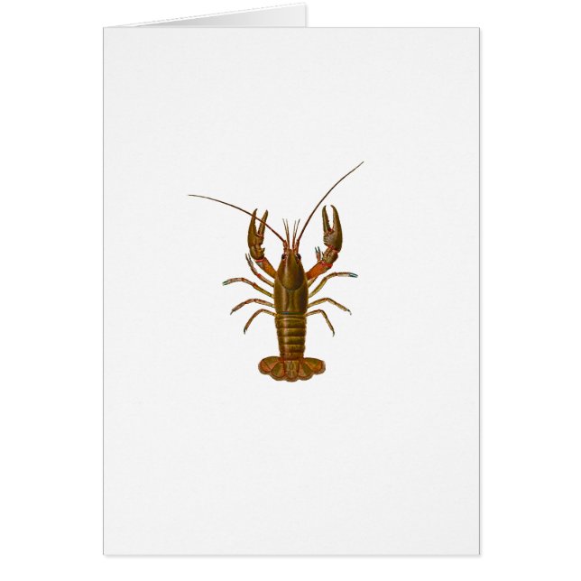 Logotipo de los cangrejos (Frente)