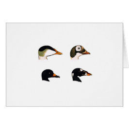 Logotipo de los patos de mar