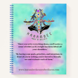 Logotipo del Diario Nuevo