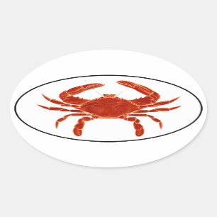 Logotipo del Pegatina Oval al estilo Euro del Cang