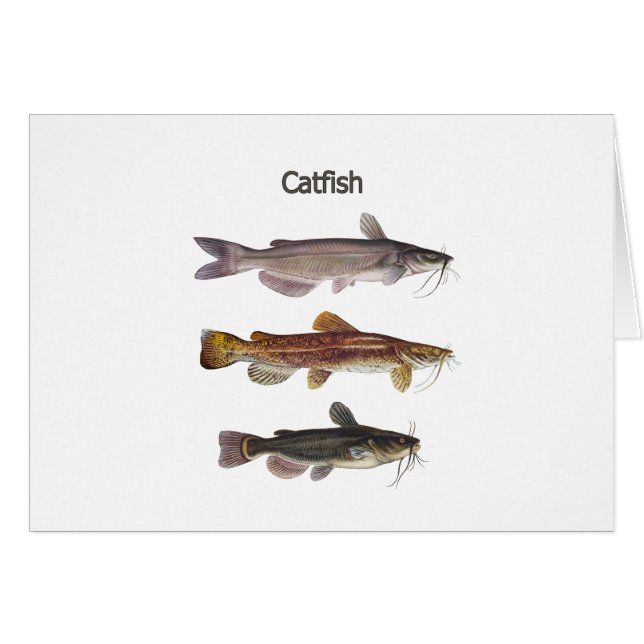 Logotipo norteamericano del siluro (Anverso (Horizontal))