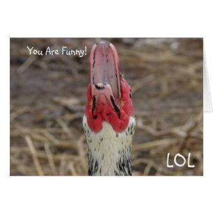 LOL, ¡Eres Gracioso!