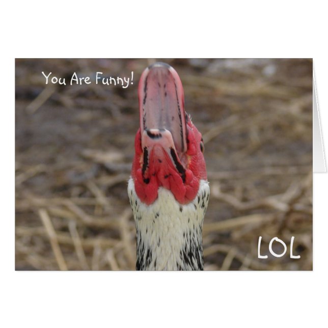 LOL, ¡Eres Gracioso! (Anverso (Horizontal))