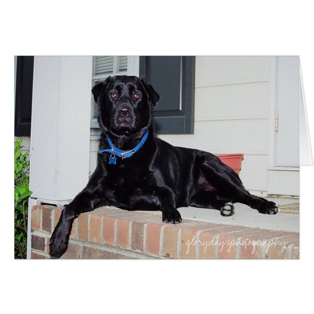 Lola, glorydaysphotografía (Anverso (Horizontal))