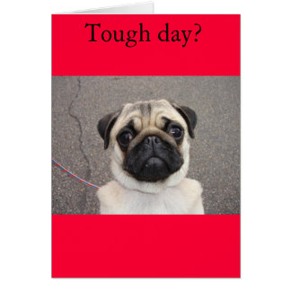 Lola siente tu dolor