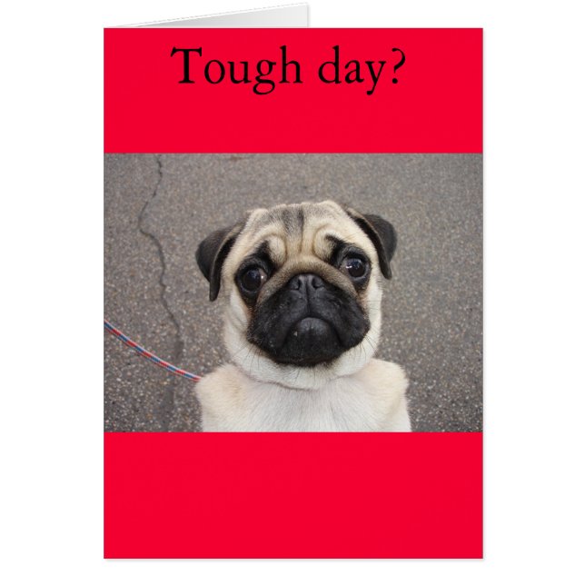 Lola siente tu dolor (Frente)