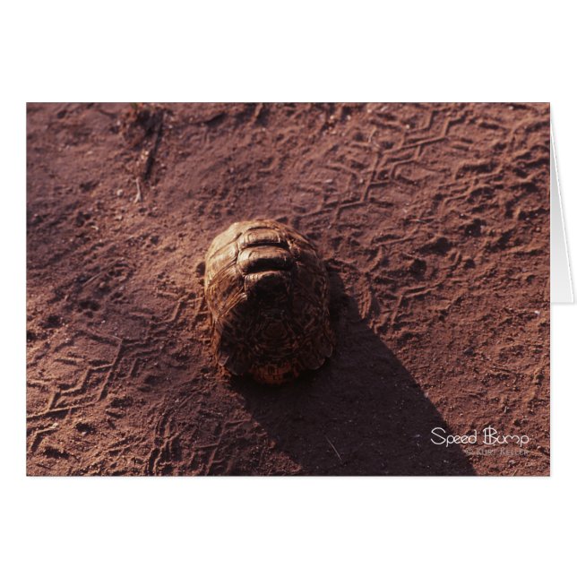 Lomada (Anverso (Horizontal))