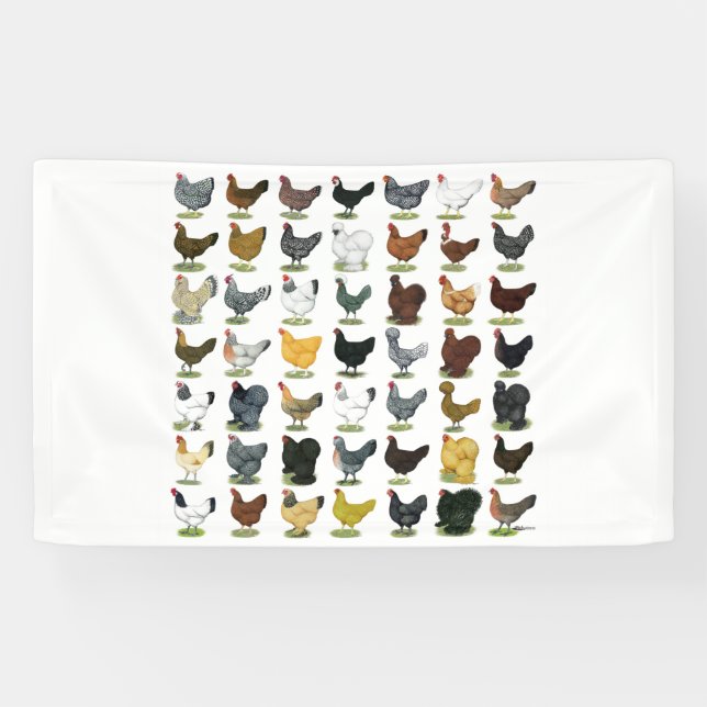 Lona 49 gallinas (Horizontal)