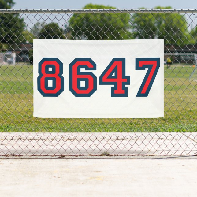 Lona 8647 Resistencia contra Trump (In situ)