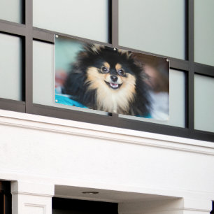 Lona Adorable Perro Cute Mirando los Grommets de artesa