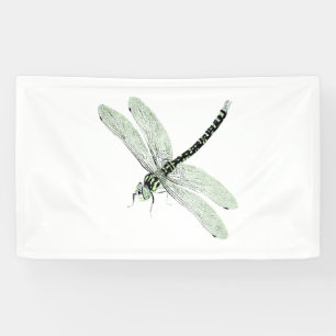 Lona Agender Pride Vintage Dragonfly Art
