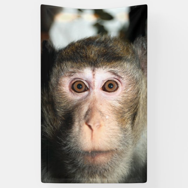 Lona Álamo de selva tropical en peligro (Vertical)