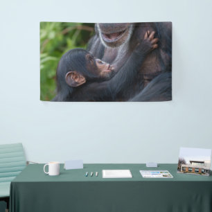 Lona Amor de Madre – Cría de Chimpancé