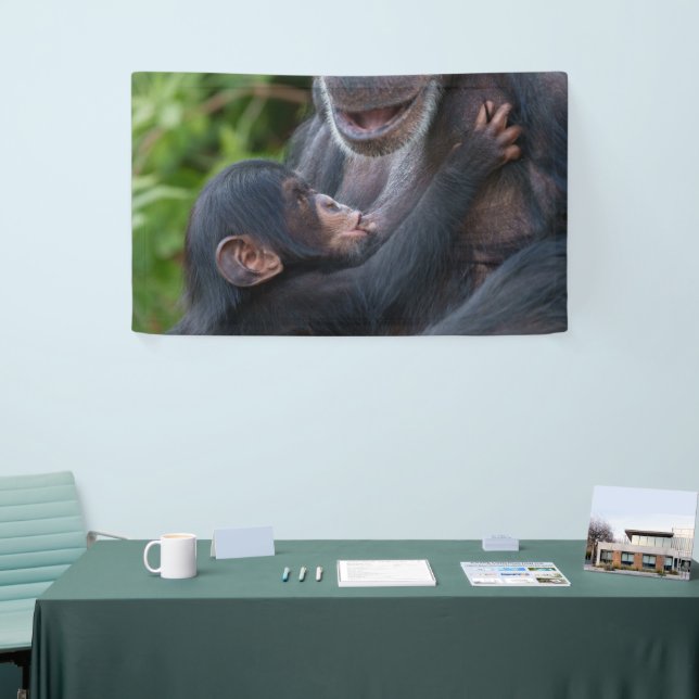 Lona Amor de Madre – Cría de Chimpancé (Feria)