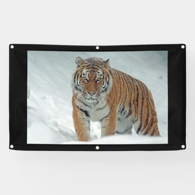 LONA ANGRY TIGRE (Horizontal)