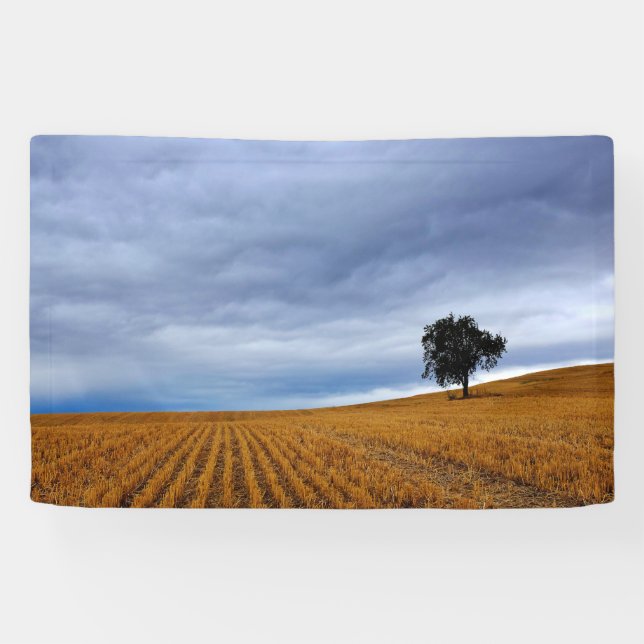 Lona Árbol en un campo de trigo (Horizontal)