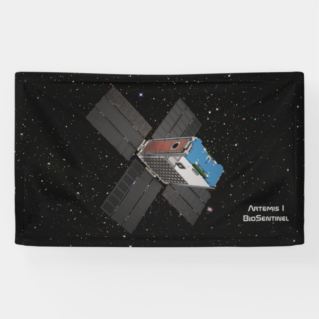 Lona Artemis BioSentinel CubeSat (Horizontal)