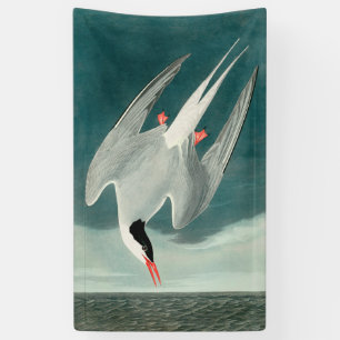 Lona Artenio ártico pintura de aves silvestres Audubon