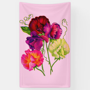 Lona arveja dulce en morado y rosa