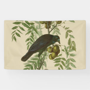 Lona Audubon American Crow Black Bird