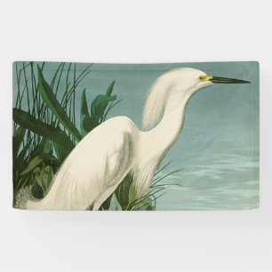 Lona Audubon Snowy Heron White Egret Bird Birding