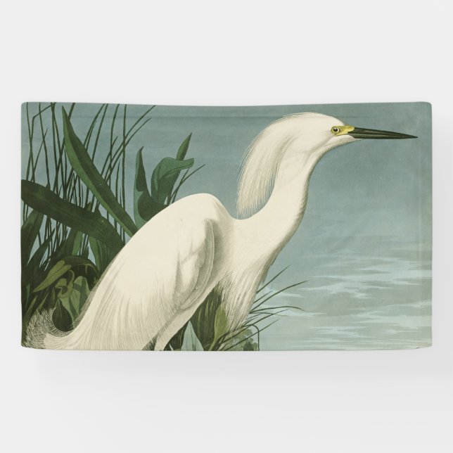 Lona Audubon Snowy Heron White Egret Bird Birding (Horizontal)