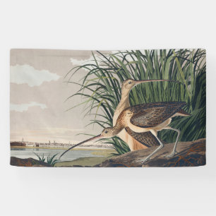 Lona Ave Audubon