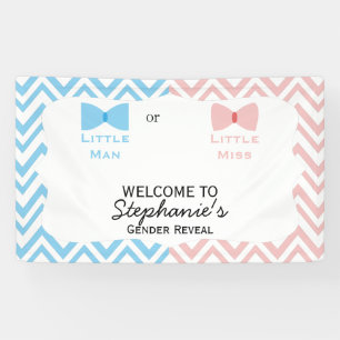 Lona Azul, rosa género Chevron Revelar Bow y Bow Tie