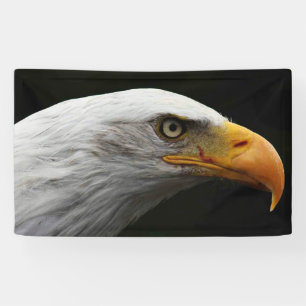 Lona Bald Eagle bnrcnm