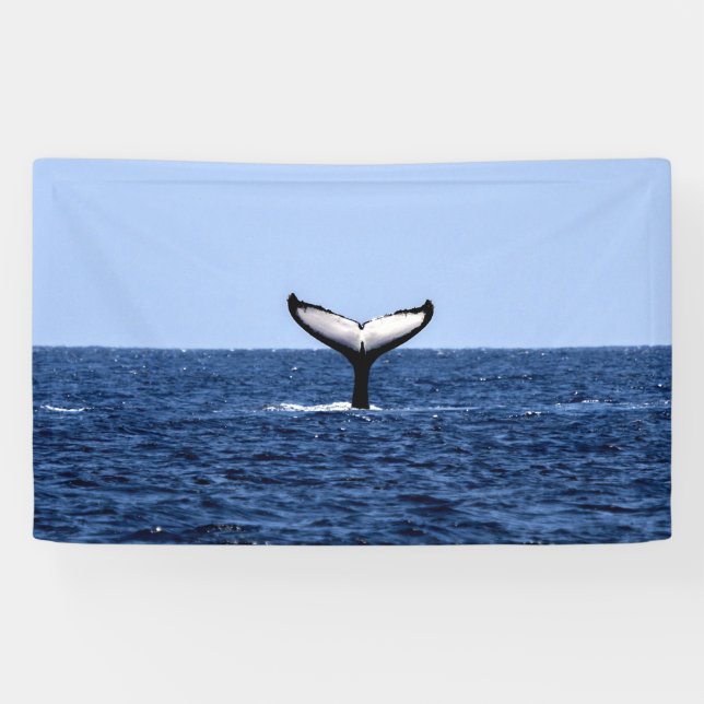 Lona Ballena jorobada en el océano (Horizontal)