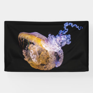 Lona Bandera de 3' x 5'